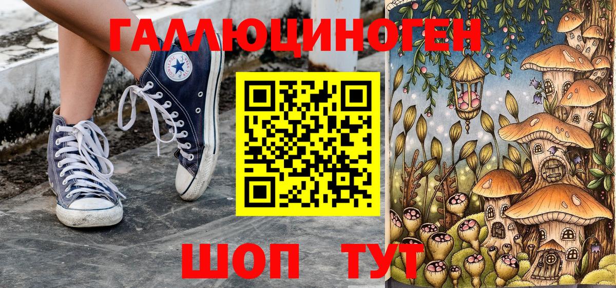 Галлюциногенные грибы MAGIC MUSHROOMS Вичуга