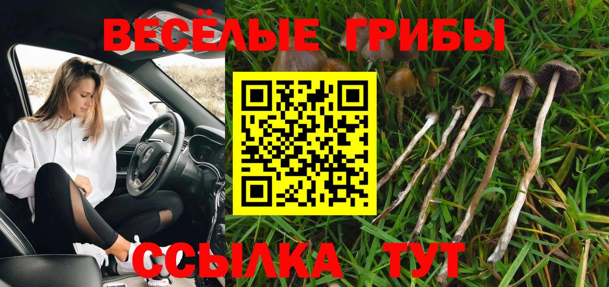 Вичуга  Галлюциногенные грибы Psilocybine cubensis  Вход с VPN 